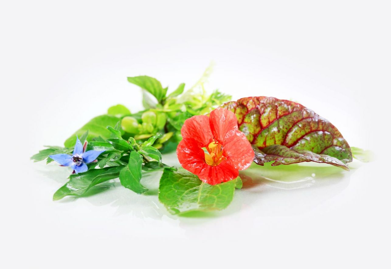 Ostern im Restaurant Philippsthal